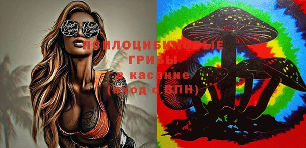 ALPHA PVP Дмитровск